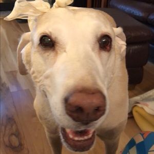 Meet your Posher, Michaela